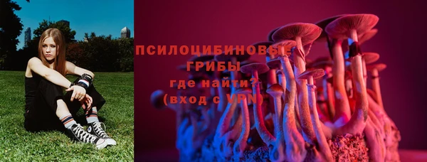 амф Аша