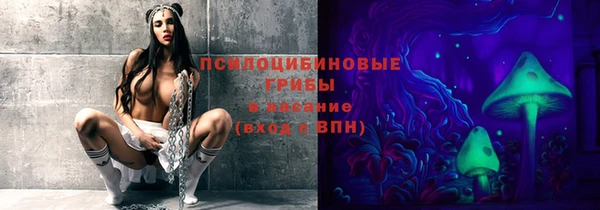 шишки Красноперекопск