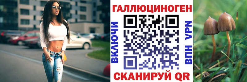 Галлюциногенные грибы Magic Shrooms  Купить где  Калининск 