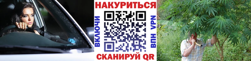 Купить  Калининск  Бошки марихуана SATIVA & INDICA 